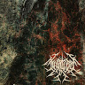 Meet your Posher, Joshua